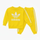 WhatsApp Image 2025-11-15 at 20.08.27.jpeg